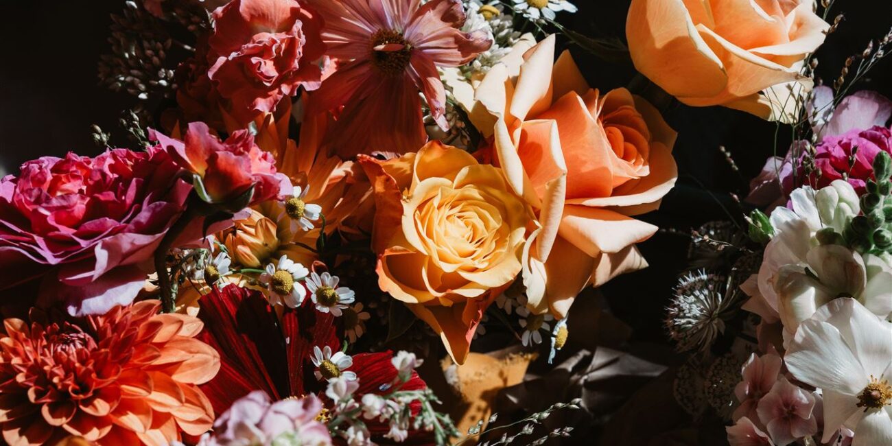 Photography by Adam & Olivia Photo and Film