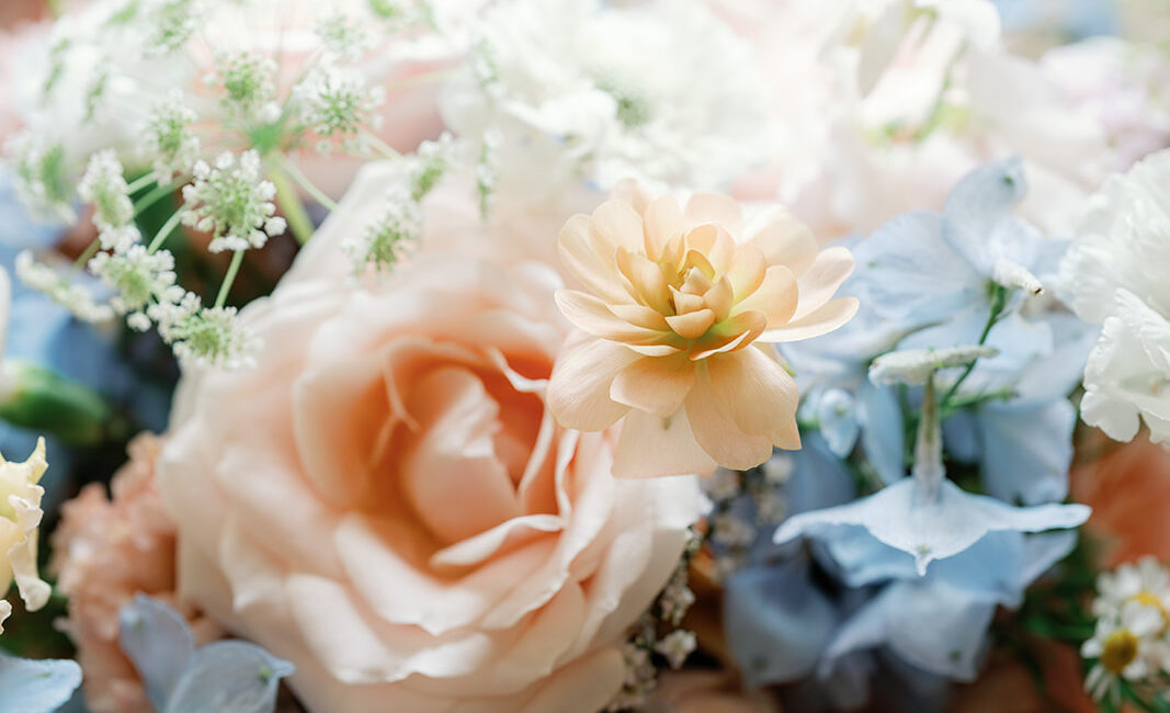 Image by Charlotte Palazzo Photography